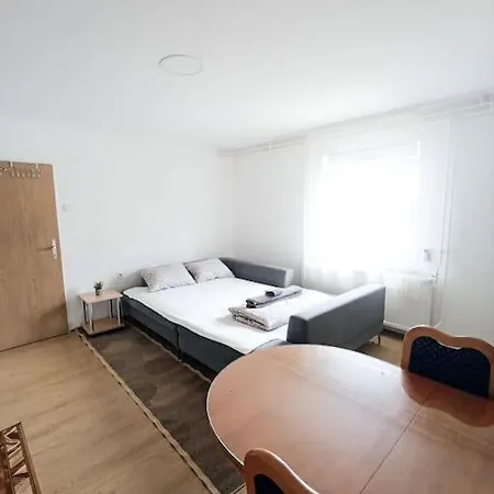 Renovated And Quiet Daire Ljubljana